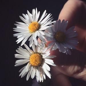 Meet your Posher, Ms